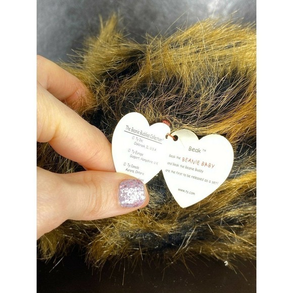 Ty Beanie Babies & Beanie Buddy Duo - Beak Kiwi Bird 4211, 9301 - 1999 - Picture 6 of 7